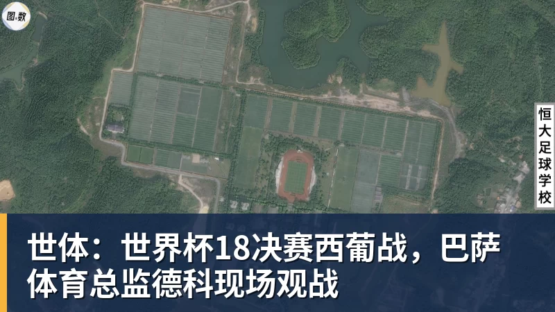 世体:世界杯18决赛西葡战,巴萨体育总监德科现场观战